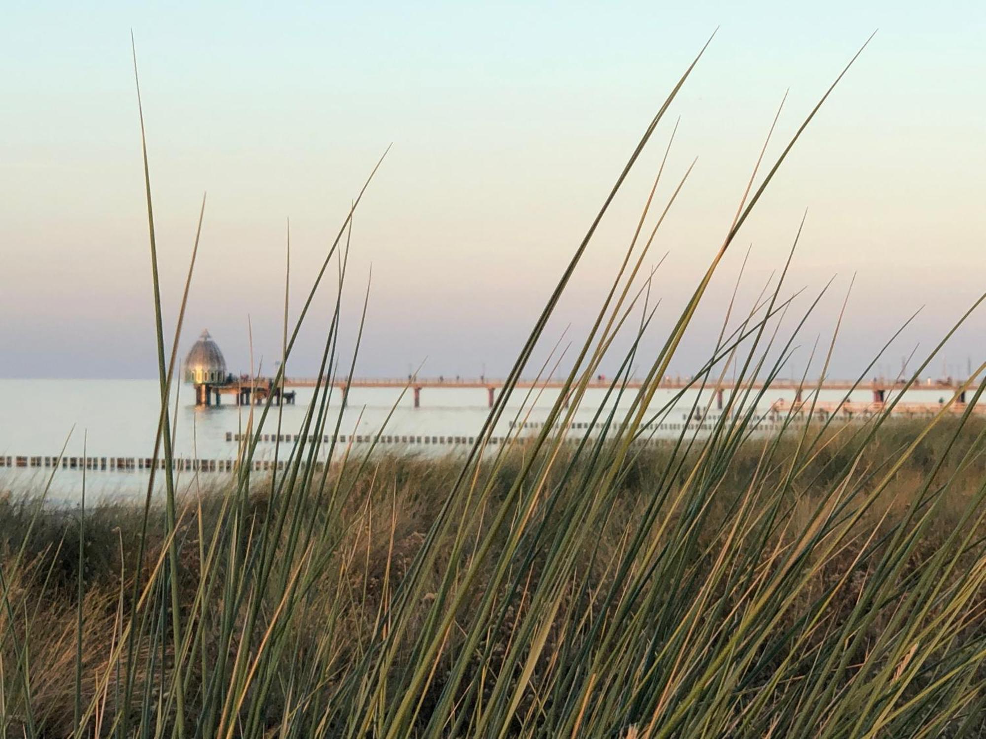 Ferienhaus Strandoase Zingst Exterior foto